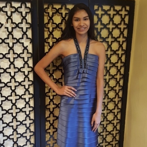 Beautiful Slate Blue Bodycon Bcbg Dress